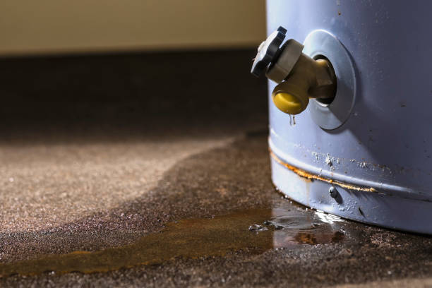 Best Water damage restoration company  in Pebble Creek, FL