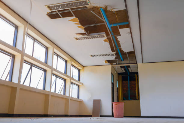 Best Commercial water damage restoration  in Pebble Creek, FL
