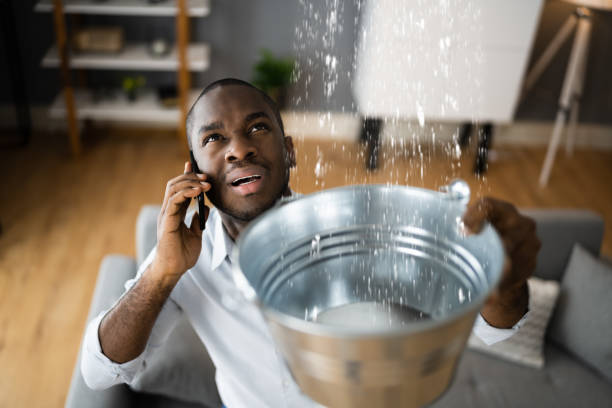 Trusted Pebble Creek, FL Water damage restoration Experts