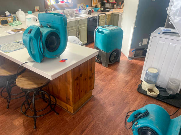 Best Water damage restoration near me  in Pebble Creek, FL