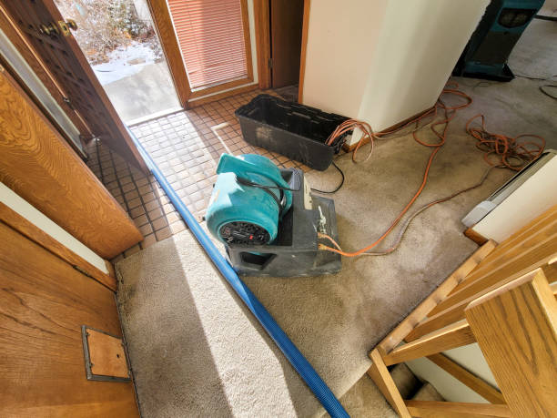 Best Water damage restoration insurance claims  in Pebble Creek, FL