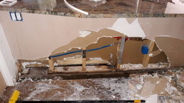Best Mold removal after water damage  in Pebble Creek, FL
