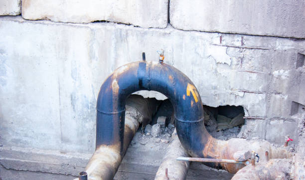 Best Flood damage cleanup  in Pebble Creek, FL