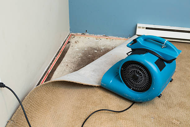 Best Flooded house restoration  in Pebble Creek, FL